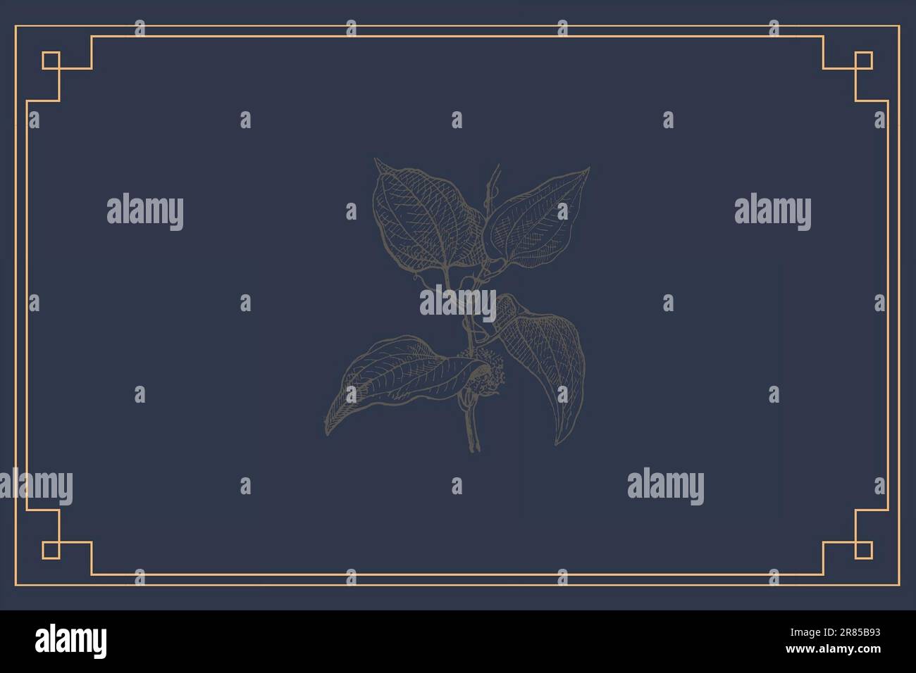 Un'illustrazione di un'etichetta di vino di bordo blu e oro con un disegno distinto e decorativo Foto Stock