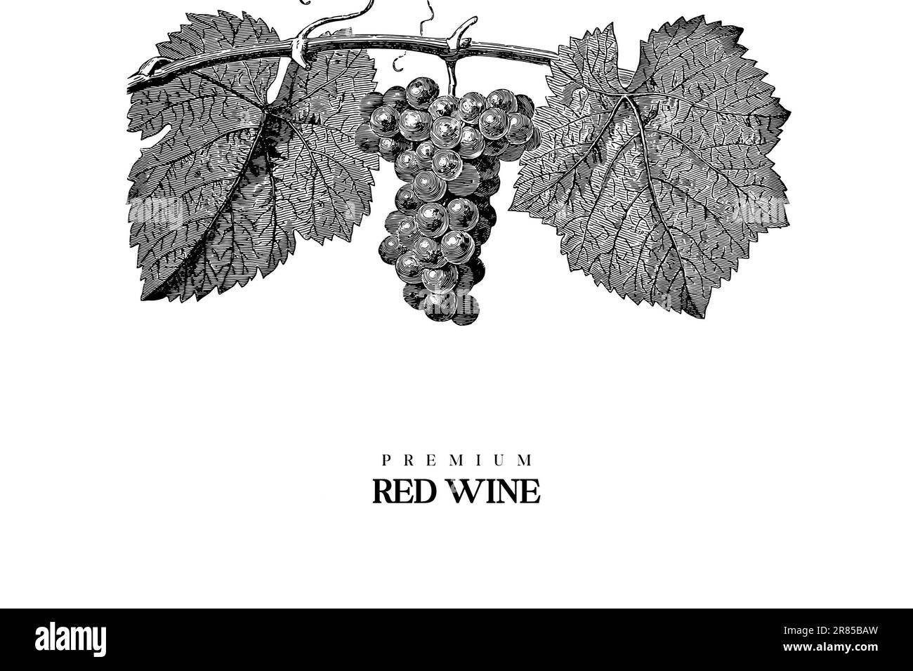 Un'etichetta di vino bianco e nero in stile annata con un grappolo d'uva dettagliato Foto Stock