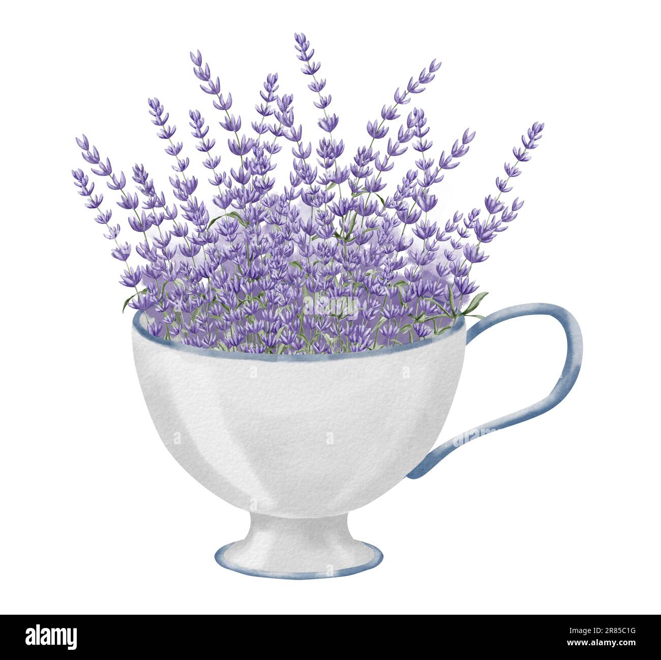 Bouquet di lavanda in tazza di porcellana. Acquerello disegnato a mano illustrazione della provincia viola Fiori in retro ceramica Cup su sfondo bianco isolato. Disegno floreale per biglietti d'auguri o inviti. Foto Stock