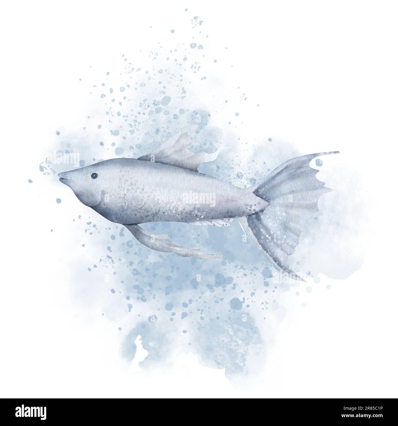 GuppY Pesce con acquerello Splash. Illustrazione disegnata a mano dell'animale domestico dell'acquario su sfondo isolato. Disegno di animale tropicale subacqueo. Schizzo di una creatura blu marina esotica per icona o logo. Foto Stock