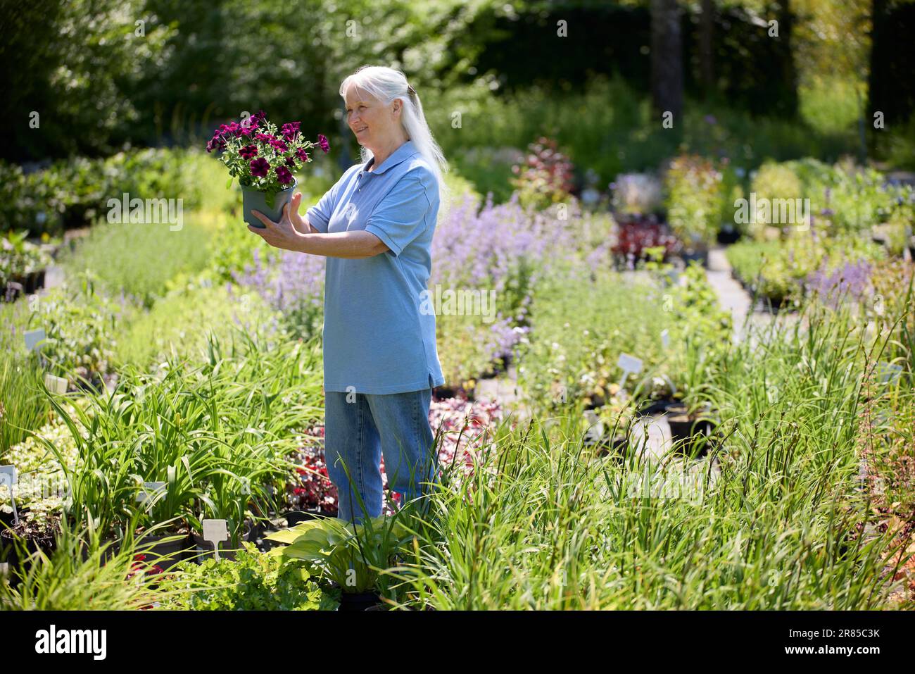 Donna anziano in pensione lavoro part-time in Garden Centre controllo impianti Foto Stock