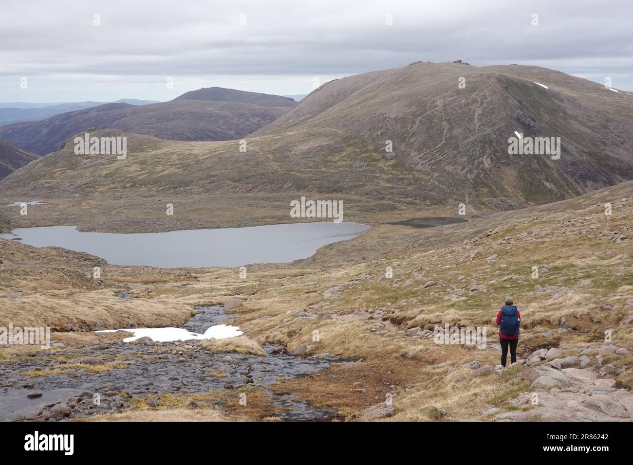 Camminatrice solitaria che guarda in basso sul Loch Etchachan, circondata dal monte Cairngorm delle Highlands scozzesi Foto Stock