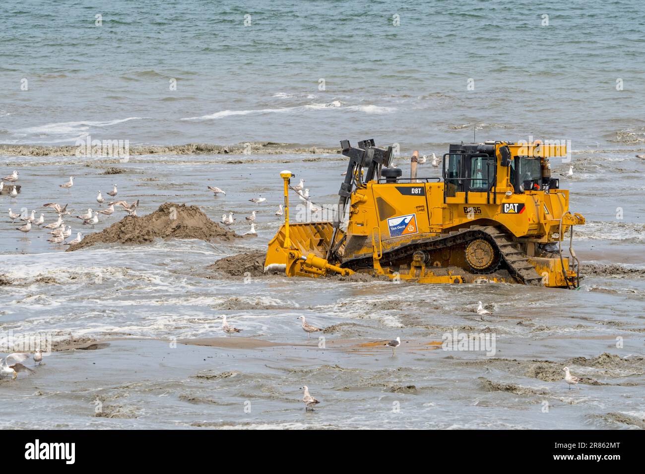 Bulldozer utilizzato per il rifornimento di sabbia / nutrimento spiaggia per ridurre i danni da tempesta alle strutture costiere lungo la costa olandese a Zeeland, Paesi Bassi Foto Stock