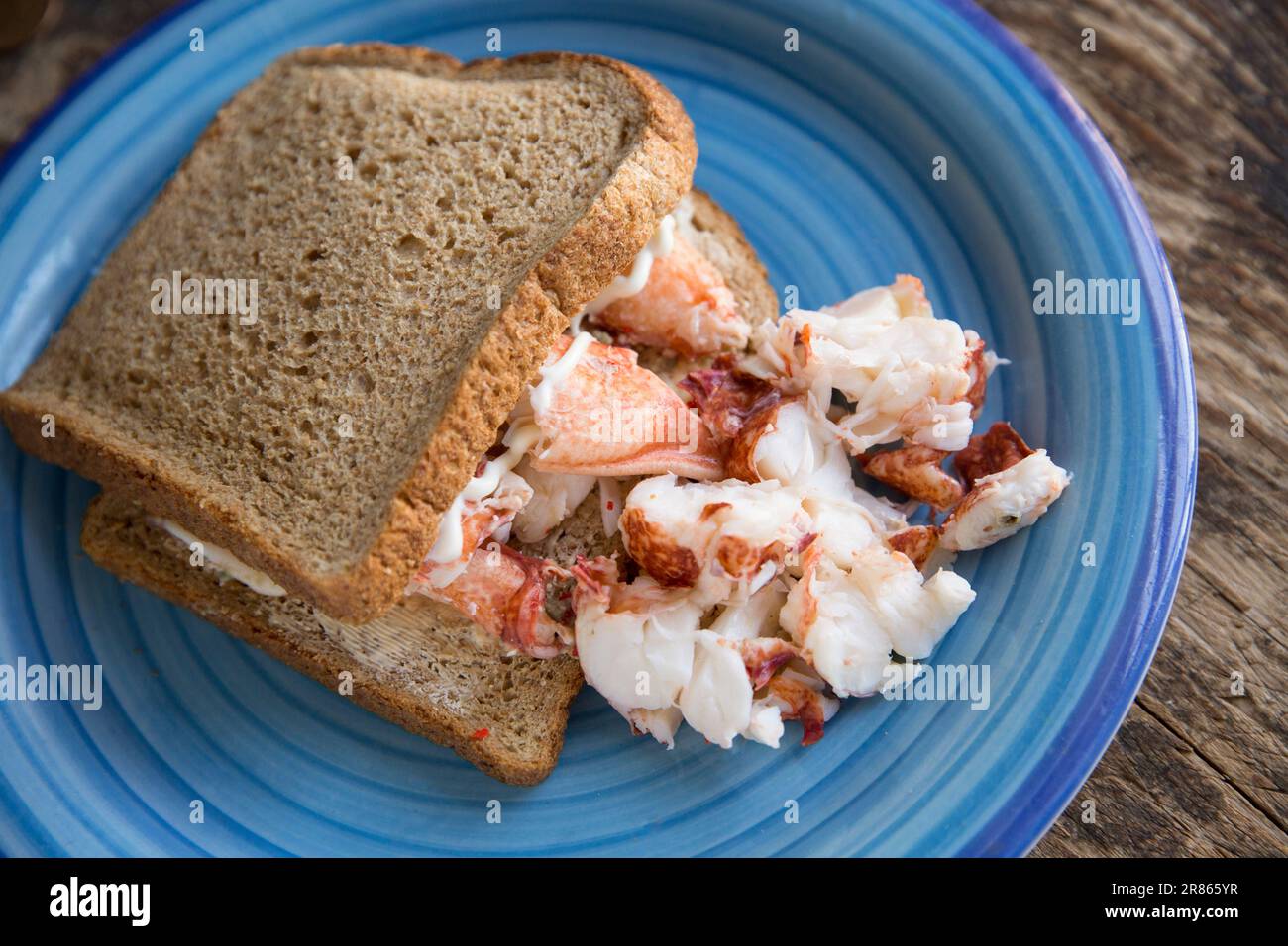 Carne di aragosta, Homarus gammarus, proveniente da un'aragosta catturata nella Manica. È stato bollito, tritato e servito in un panino di pane marrone con così Foto Stock