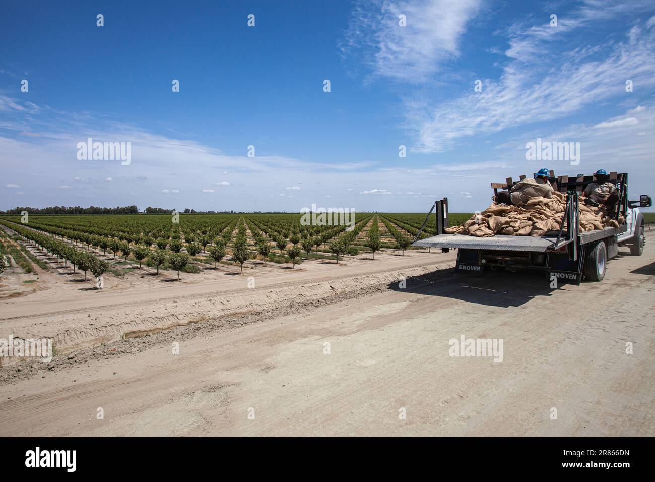 California Conservation Corps costruire un levee sul lago Tulare. Il lago Tulare, situato nella Central Valley della California, è stato per decenni un lago secco, b Foto Stock