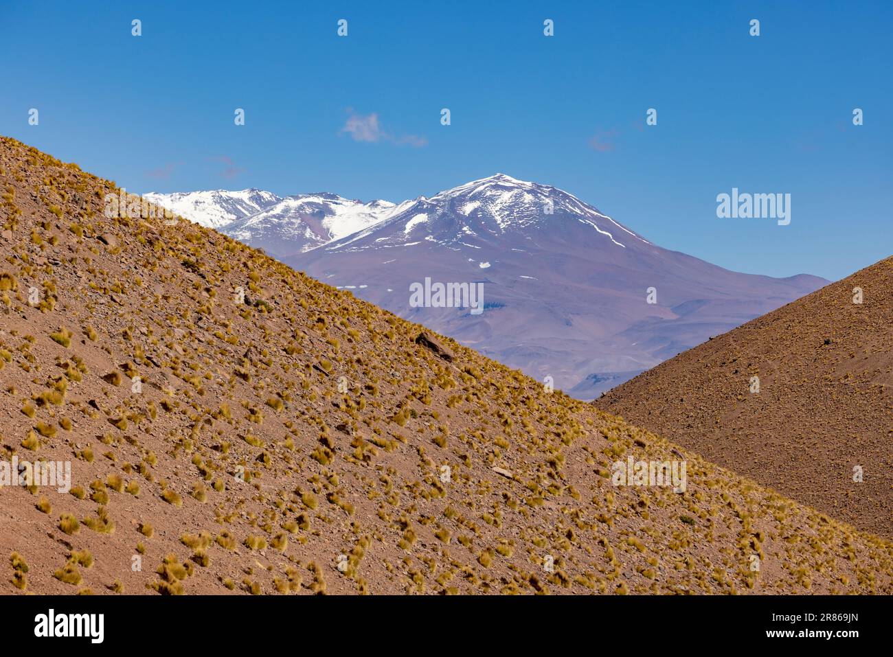 Attraversando le Ande da Antofagasta de la Sierra ad Antofalla - paesaggio mozzafiato negli altopiani argentini chiamati Puna in Sud America Foto Stock