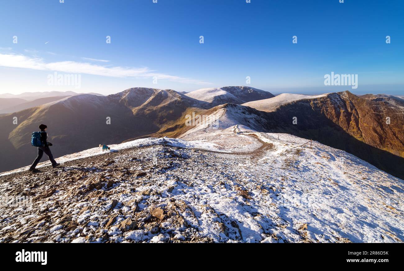 Un escursionista e il loro cane a piedi sulla cima di Grisedale Pike con vista di Sail, Crag Hill, Grasmoor, Sand Hill e Hopegill Head in inverno nel Foto Stock