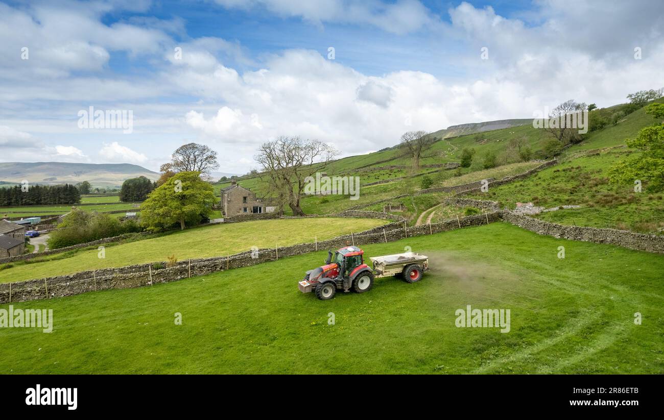 Stendendo calce su un pascolo di altopiano per contribuire ad aumentare la qualità e la fertilità del suolo aumentando il livello di pH. North Yorkshire, Regno Unito. Foto Stock