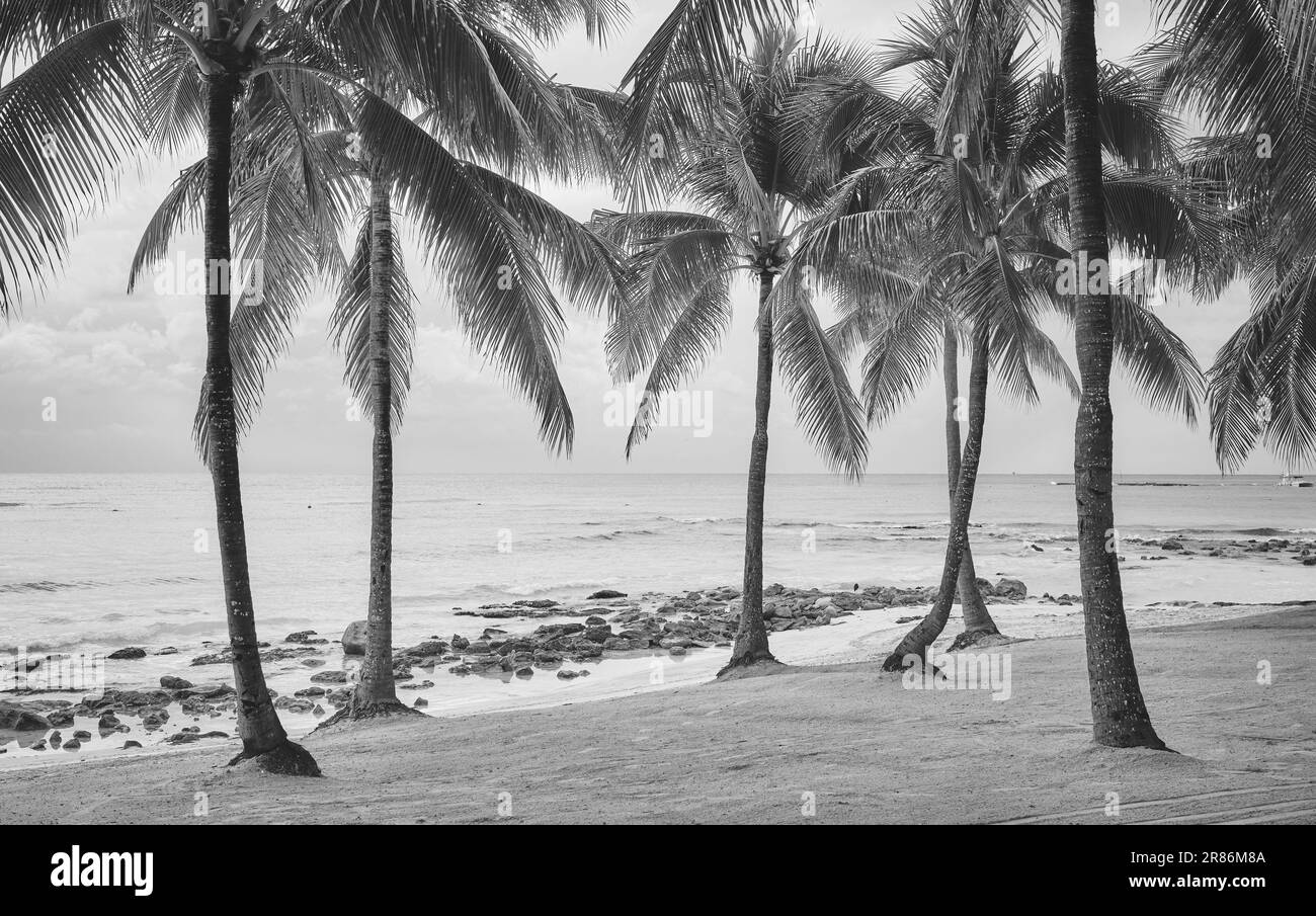 Foto in bianco e nero di una spiaggia tropicale, concetto di vacanza estiva, Messico. Foto Stock