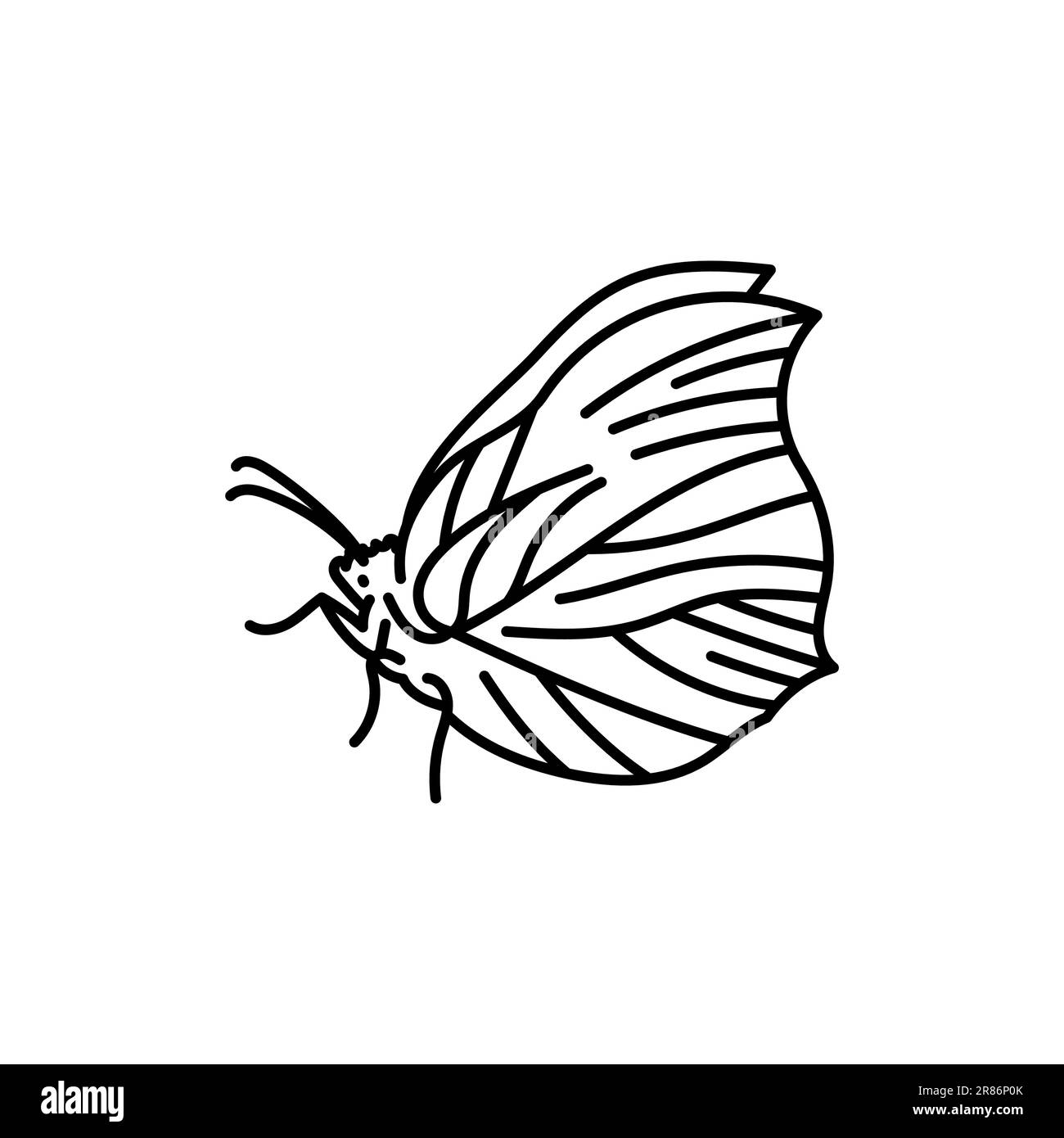 Gonepteryx rhamni Brimstone linea nera icona. Pittogramma per pagina web, app mobile, promo. Illustrazione Vettoriale