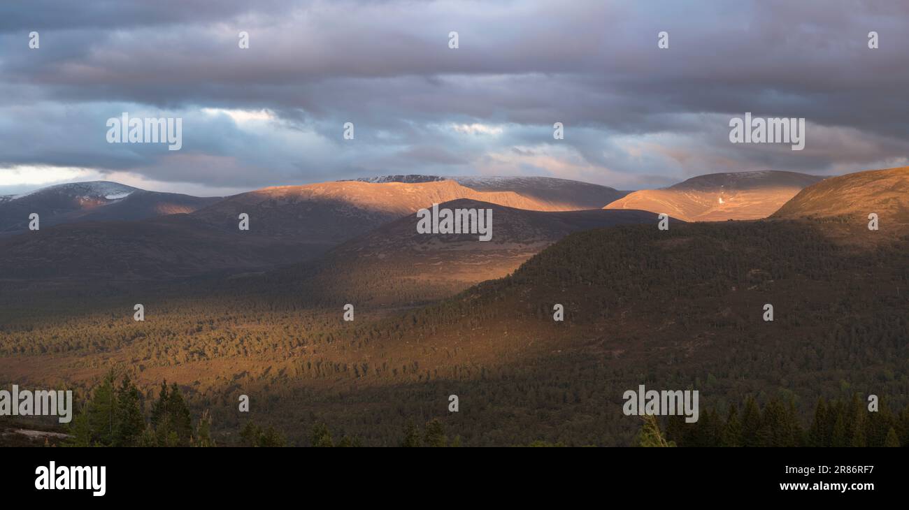 Le montagne di Cairngorm viste da Ord Ban, Loch an Eilean, Scozia, Regno Unito Foto Stock