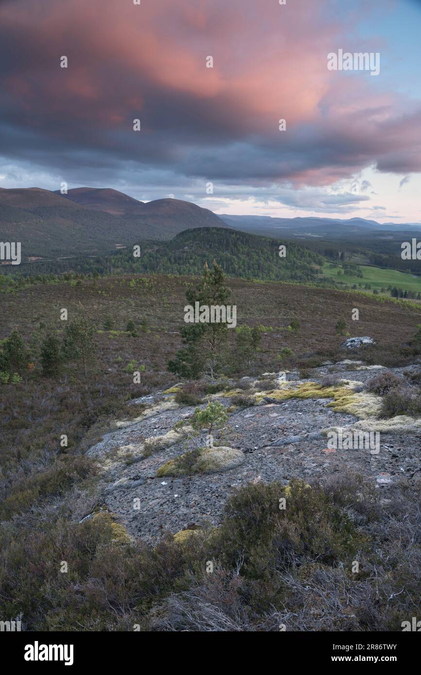 Le montagne di Cairngorm viste da Ord Ban, Loch an Eilean, Scozia, Regno Unito Foto Stock