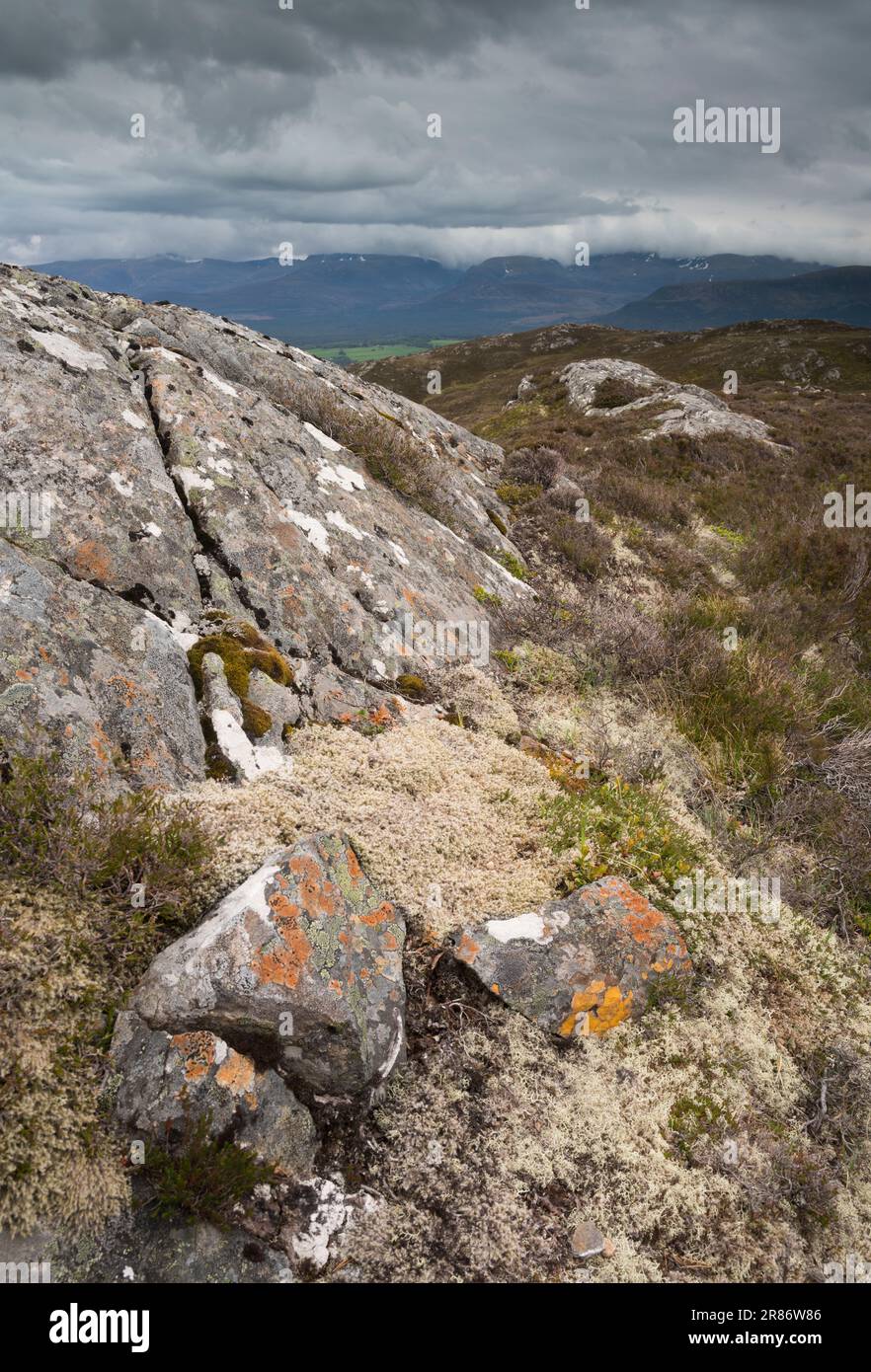 I monti Cairngorm, visti da Craigellachie, Aviemore, Scozia Foto Stock