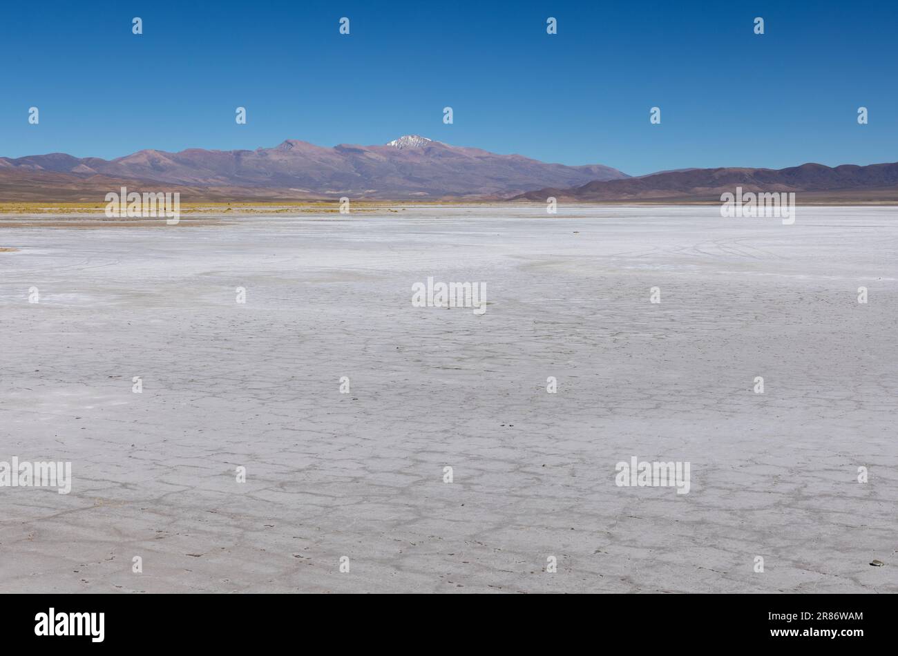 Esplorando le enormi saline Salinas Grandes de Jujuy, nel nord dell'Argentina, mentre viaggiate in Sud America Foto Stock