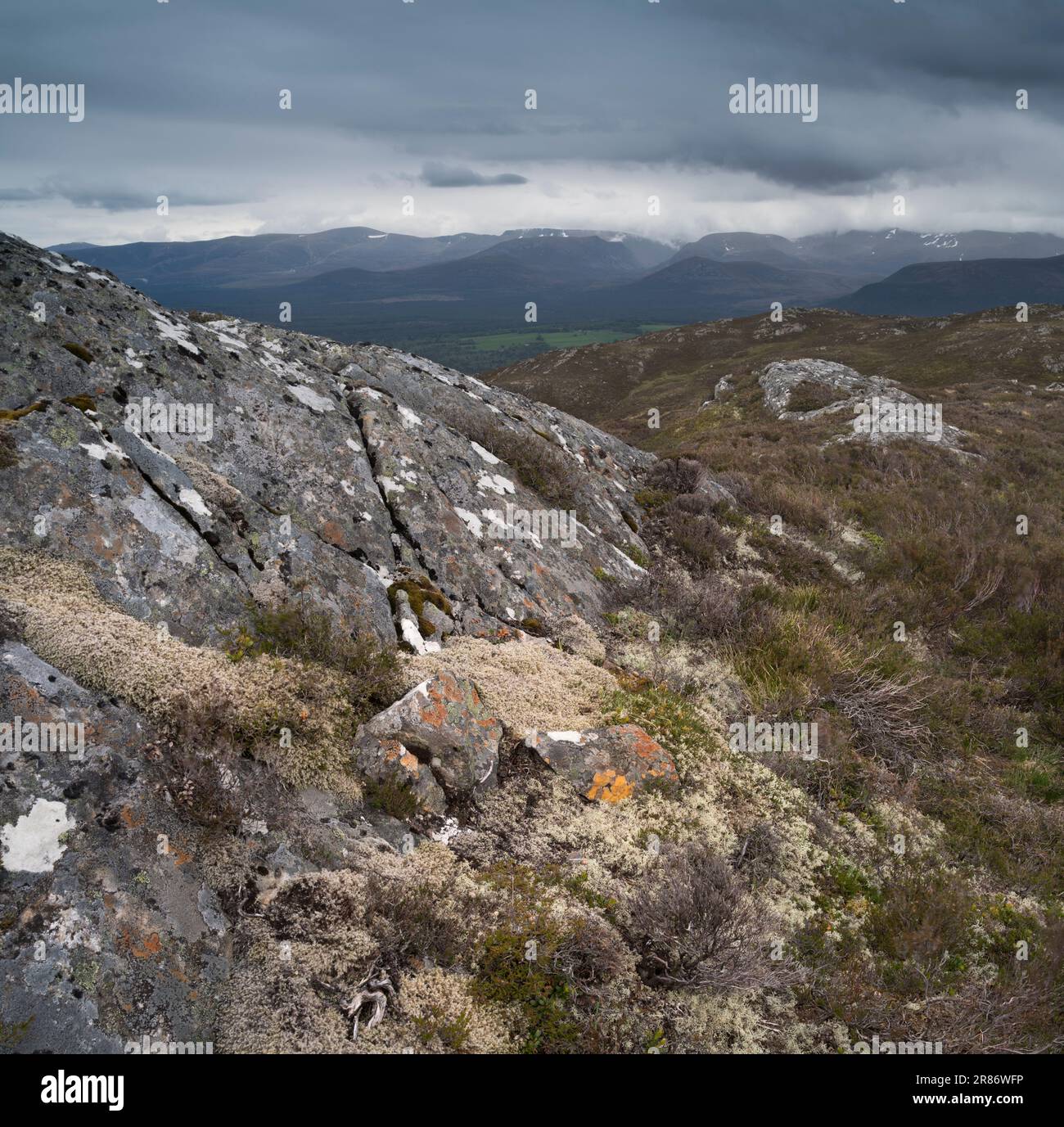 I monti Cairngorm, visti da Craigellachie, Aviemore, Scozia Foto Stock