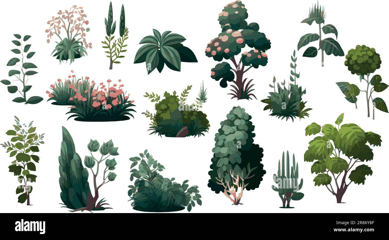 Set vettoriale di cespugli di vegetazione, erba e alberi. Arbusto ornamentale per la progettazione di un parco, un giardino o una recinzione verde. Illustrazione vettoriale Illustrazione Vettoriale