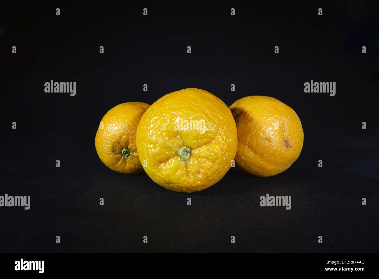 Immagine di arance, tre di esse, nel loro complesso, isolate su sfondo nero. Un arancio è un frutto di varie specie di agrumi della famiglia Rutaceae (. Foto Stock