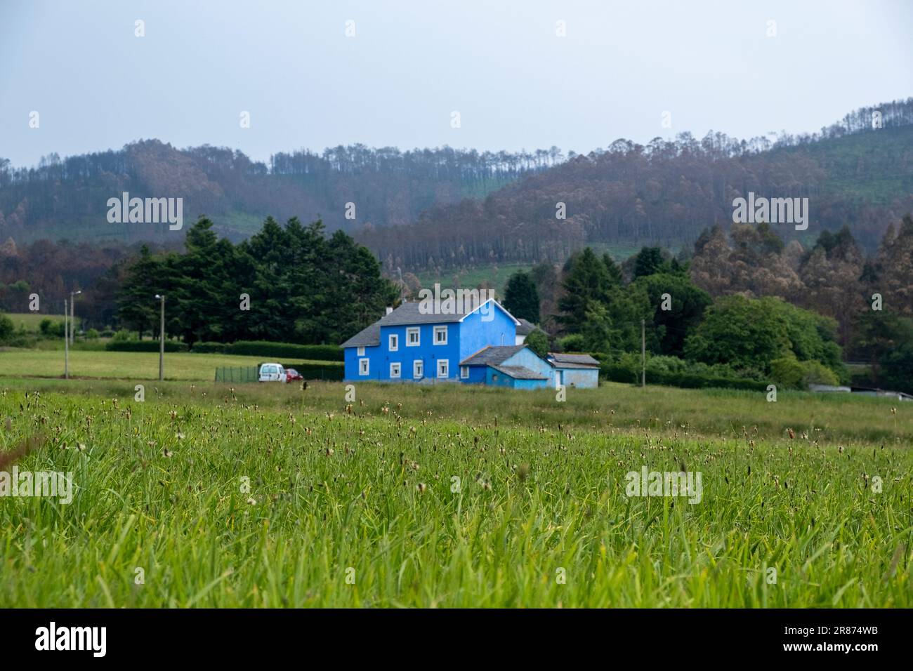 Casa blu in un campo verde Foto Stock