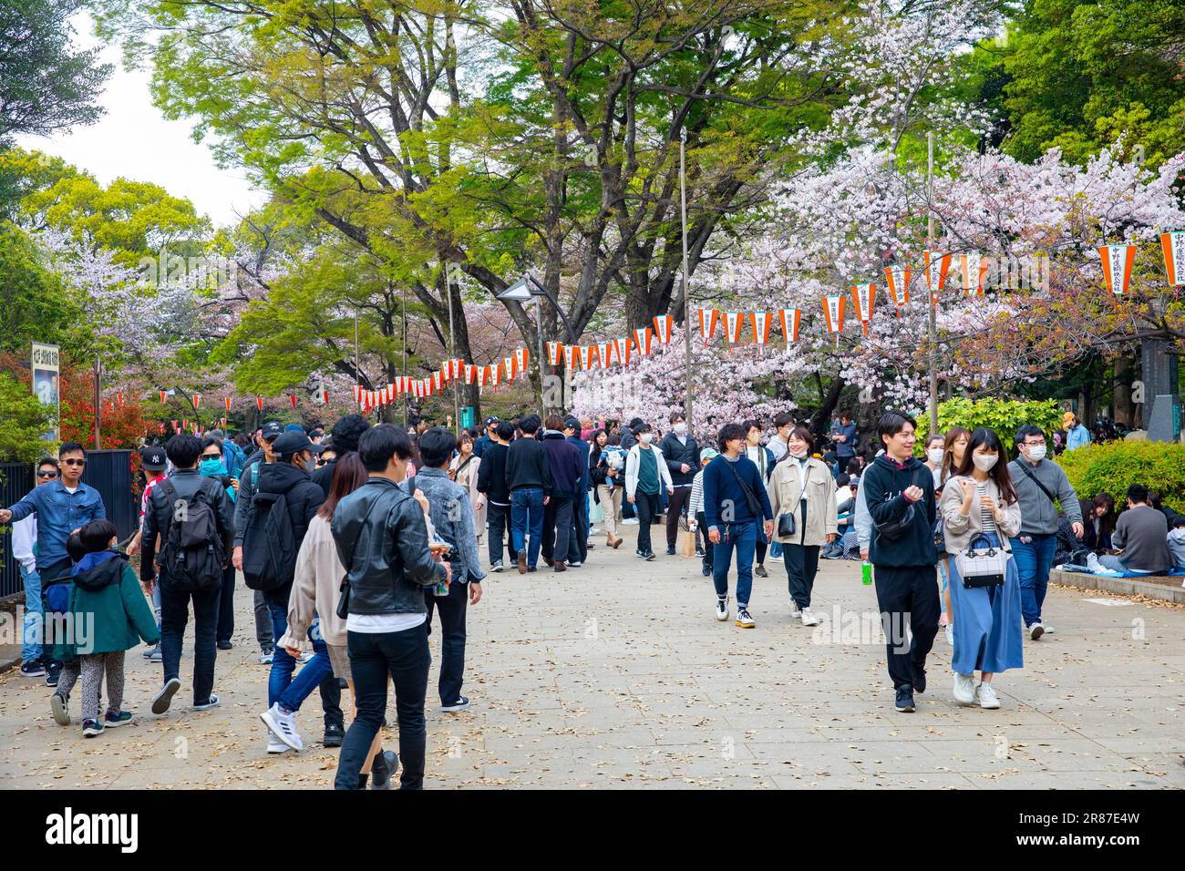 Giappone sakura Ueno Park a Tokyo, persone che camminano attraverso il parco ammirando fiori di ciliegi e alberi, Giappone, Asia, 2023 Foto Stock