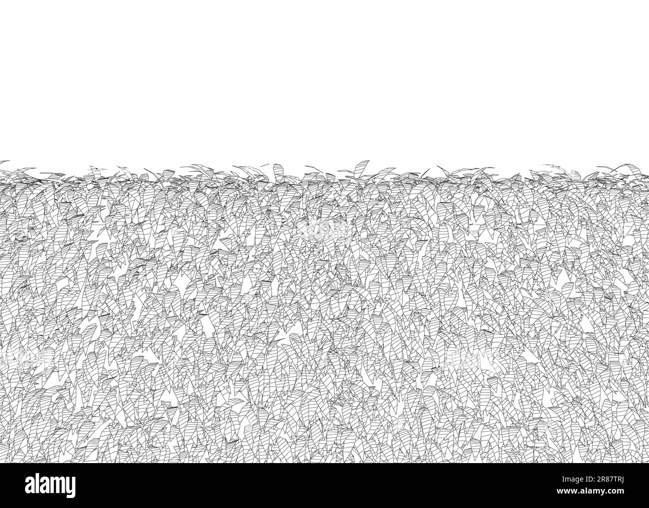 Erba recinto rettangolare arbusti di bosso. Pianta ornamentale per decorare un parco, un giardino o una recinzione verde. Fogliame per la progettazione di biglietti di primavera ed estate. Illustrazione Vettoriale