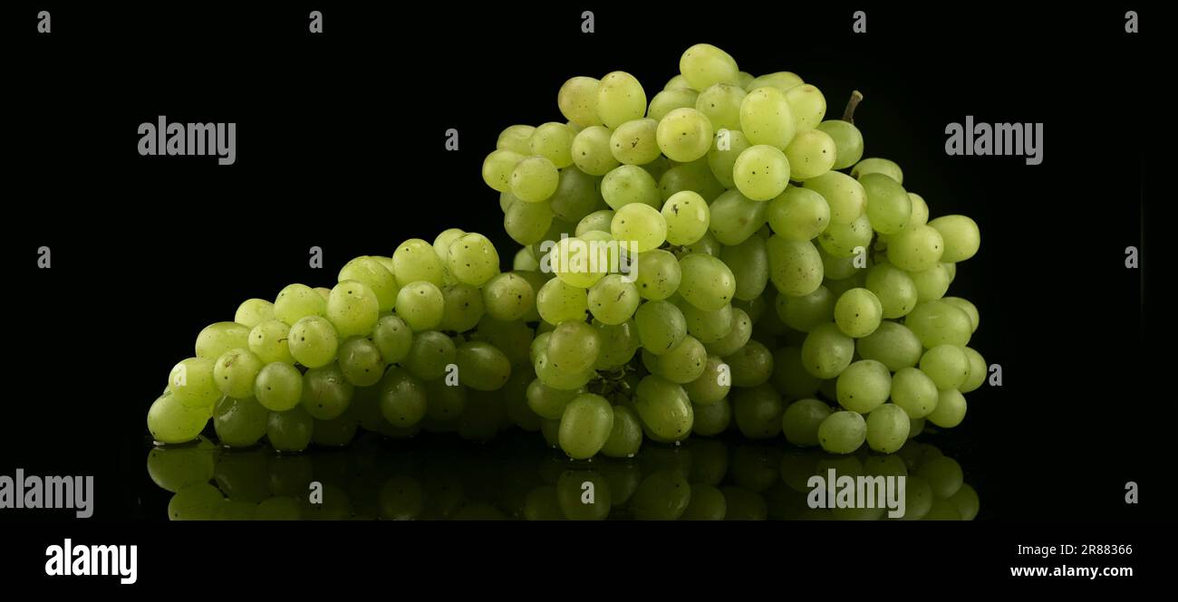 Grande grappolo di uva verde con gocce d'acqua su fondo nero Foto Stock