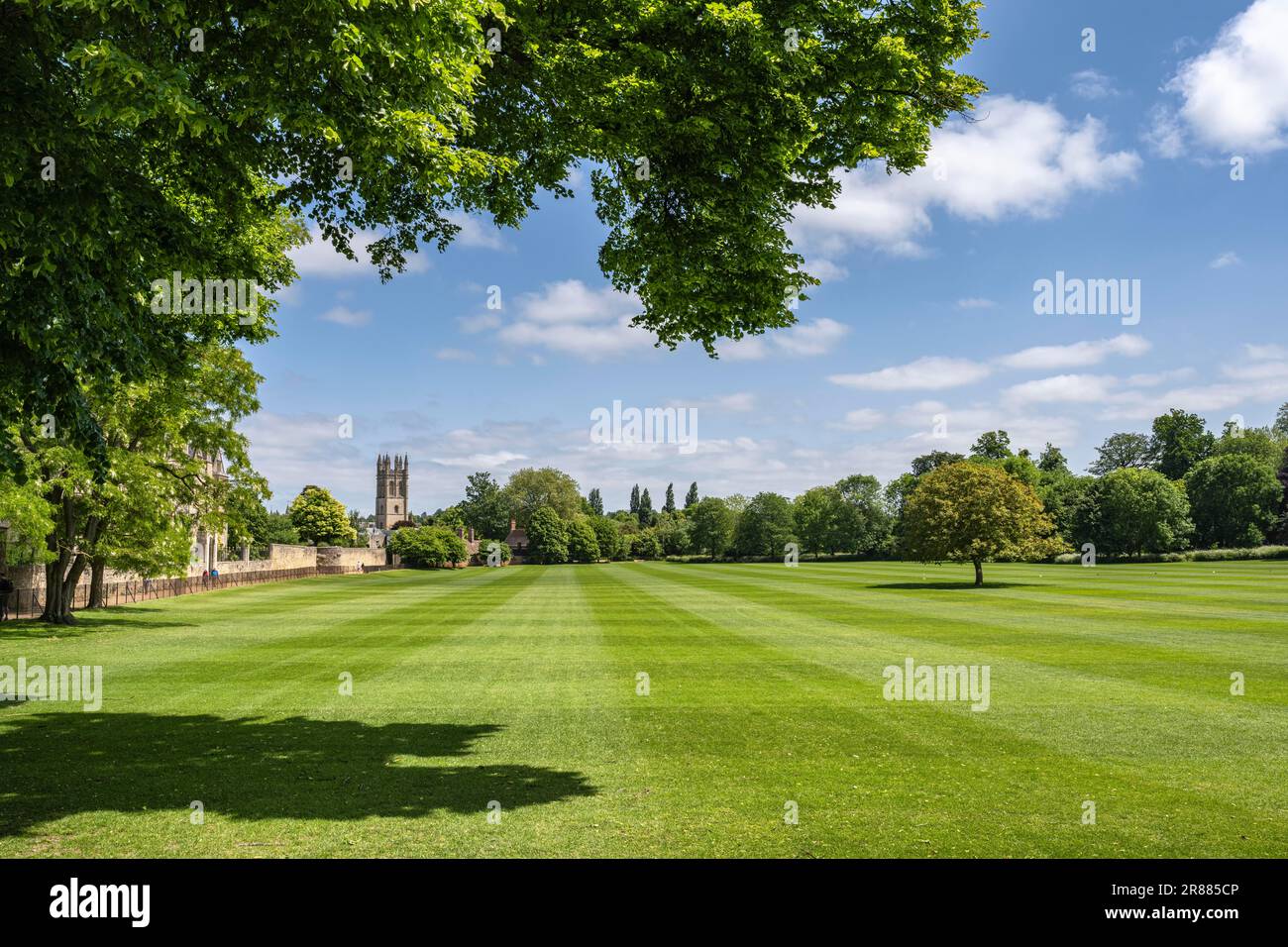Vista sul campo da gioco in erba di Merton Field fino alla torre della chiesa di Merton College Chapel, Oxford, Oxfordshire Inghilterra, Gran Bretagna Foto Stock