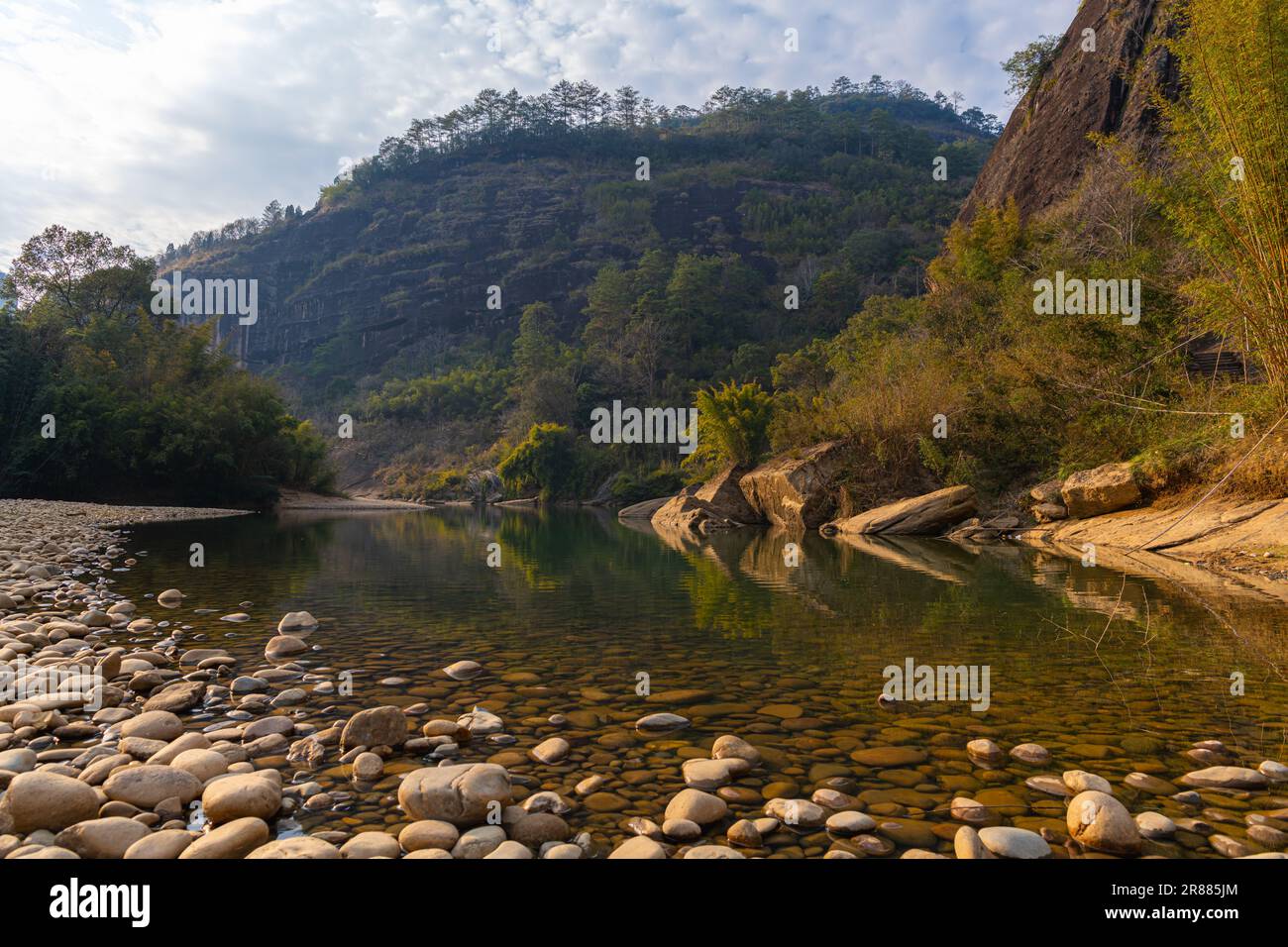 Un boschetto di alberi di bambù e insolite formazioni rocciose sul fiume di nove curve in cina wuyishan nella provincia fujian, copia spazio per il testo Foto Stock