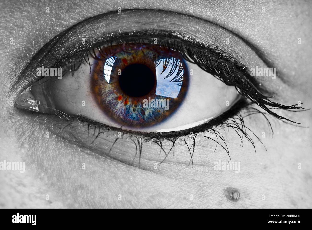 Occhio femminile colorato con forte contrasto della pupilla Foto Stock