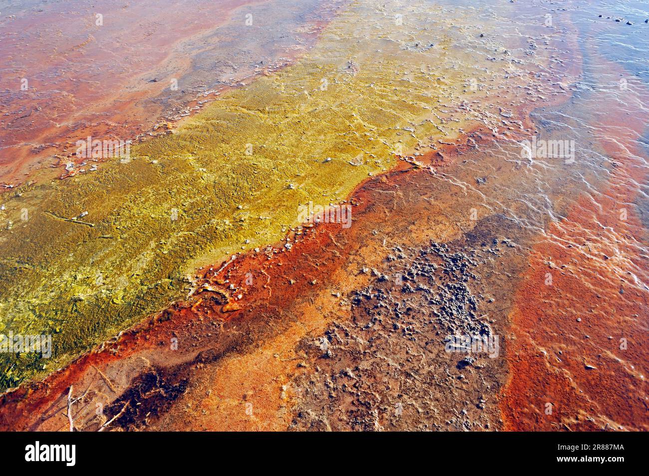 Tappetini algali e batterici e depositi minerali alle sorgenti termali, tappetini batterici, West Thumb Geyser Basin, Yellowstone National Park, Wyoming, USA Foto Stock