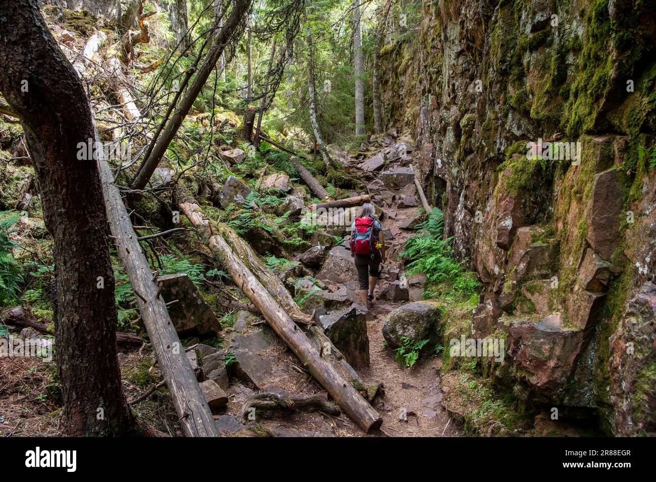 Escursionista, Gola, Riserva Naturale Skurugata, nei pressi di Eksjoe, Joenkoepings laen, Svezia Foto Stock