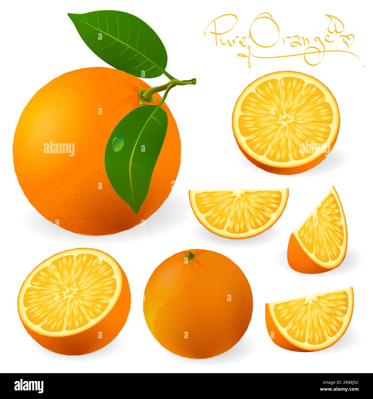 Fresche arance mature con foglie Illustrazione Vettoriale