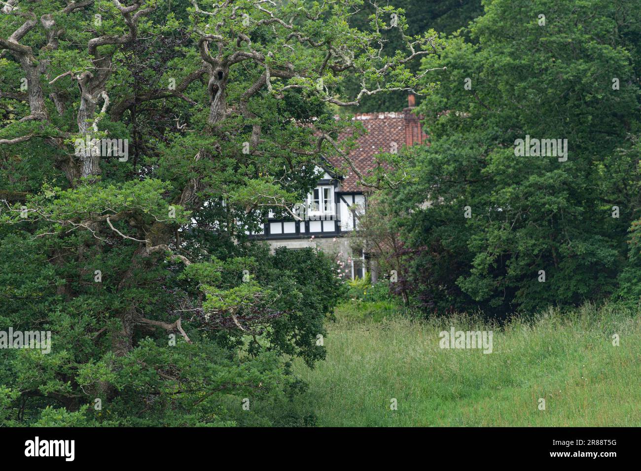 Grazioso cottage nascosto negli alberi Foto Stock