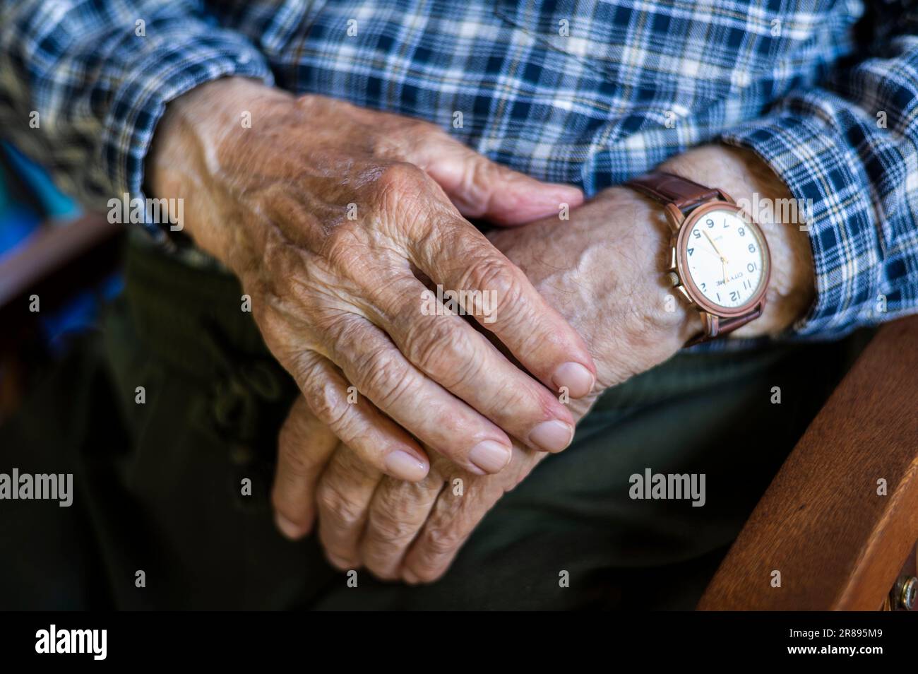Orologi da tempo sui polsi degli anziani di un uomo molto vecchio e di un nonno. Queste mani hanno costruito una casa per tutta la famiglia. Foto Stock