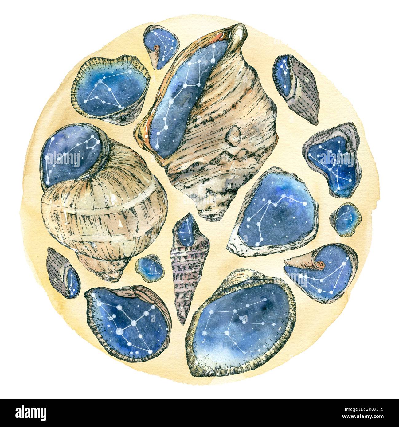 Composizione rotonda di sabbia con conchiglie di diverse forme e dimensioni. Illustrazione in acquerello, grafica. Mare, oceano, vacanza, viaggio, souvenir. Foto Stock