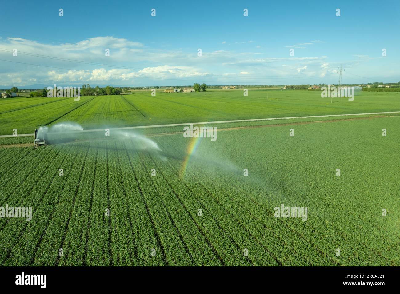 Fotografia aerea con drone di un sistema di irrigazione agricola con una grande bobina per tubi, per la coltivazione di colture durante l'estate dopo un vino molto secco Foto Stock