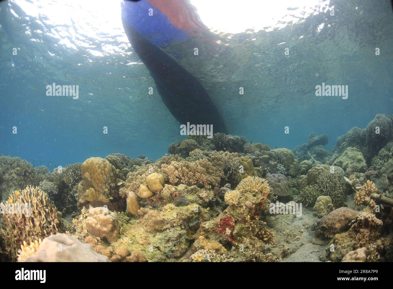Barca da sotto il mare mentre passa attraverso le barriere coralline nel mare di ​​soa sio, Tidore Foto Stock