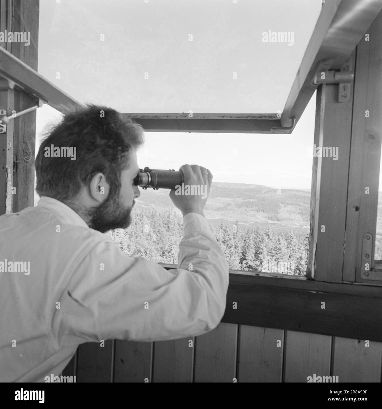 Attuale 29-6-1960: La sentinella solitaria abbiamo trovato un posto di lavoro strano. Giù là, un uomo che vive al suo posto cammina. Giorno e notte il nemico si aggirano, giorno e notte l'uomo solitario è in guardia - contro il fuoco della foresta. Stein Aanderaa, uno studente di teologia, ha un lavoro solitario di vacanza nella torre di guardia antincendio di Skgennungsåsen nelle foreste di Oslo. Alto e libero sopra le cime degli alberi, egli custodisce 5 miglia di foresta in tutte le direzioni. È in servizio 24 ore su 24. Foto: Aage Storløkken / Aktuell / NTB ***FOTO NON ELABORATA*** Foto Stock