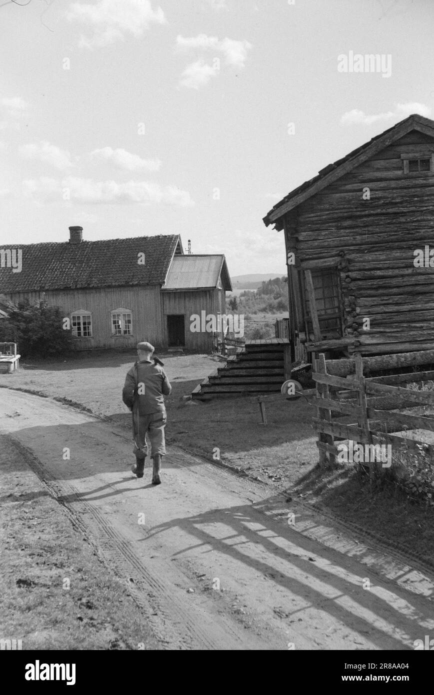 Corrente 23-1946: Una delle famiglie felici. Il beneficio del bambino significa i vestiti e le scarpe come regali di Natale per 7 bambini nella casa del lavoratore della foresta Henry Bråthen in setta. Qui viene a casa stanco dalla Forest.Photo: TH. Skotaam / corrente ***la foto non è un'immagine elaborata*** Foto Stock