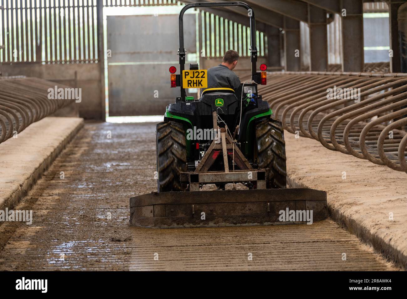 Raschiare lo slurry in un capannone di bestiame usando un trattore John Deere mini. Dumfries, Scozia, Regno Unito. Foto Stock