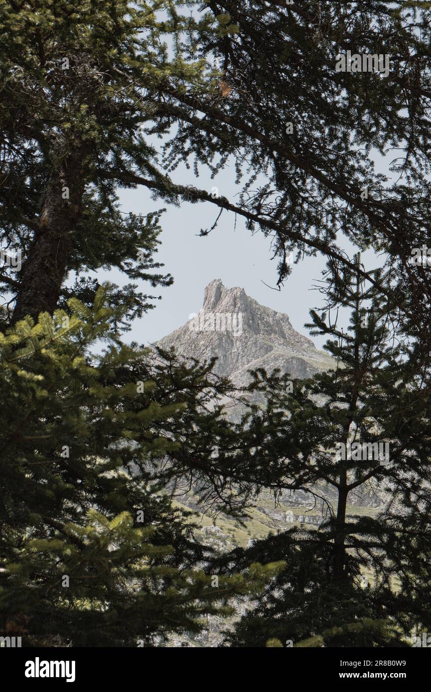 Una maestosa catena montuosa con lussureggianti alberi sempreverdi in primo piano, adagiato su uno sfondo mozzafiato di un cielo blu senza nuvole Foto Stock