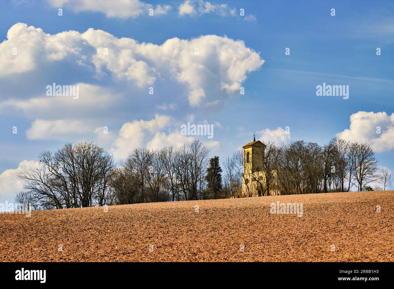 Immagine minima delle rovine di un'antica chiesa abbandonata con campanile in pietra tra alberi secchi in una giornata di sole. Nuvole su cielo blu soleggiato, campo asciutto. Foto Stock