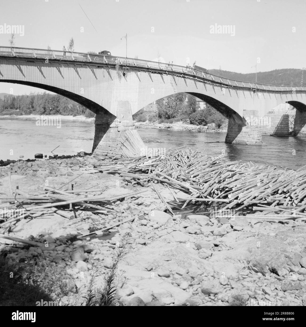 Attuale 17-1-1947: Le catastrofiche annegazioni le relazioni si riversano da tutti gli angoli della Norvegia orientale sulle gravissime conseguenze della prolungata siccità. I grandi fiumi si sono quasi assottiti. Questa foto di Kongsvinger mostra tutto il corso inferiore di Glåma. Carichi pesanti di legname si trovano completamente a secco, e nessuno sa come saranno portati in sicurezza e portati avanti in tempo in autunno. Pioggia, pioggia i galleggianti vogliono. Foto: Aktuell / NTB ***FOTO NON ELABORATA*** Foto Stock