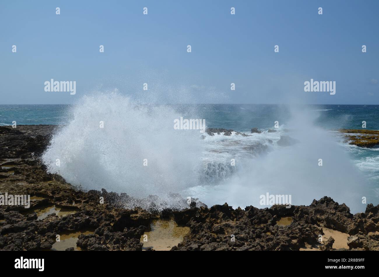 Le grandi onde si infrangono e spruzzano sulla costa dell'isola di Aruba Foto Stock