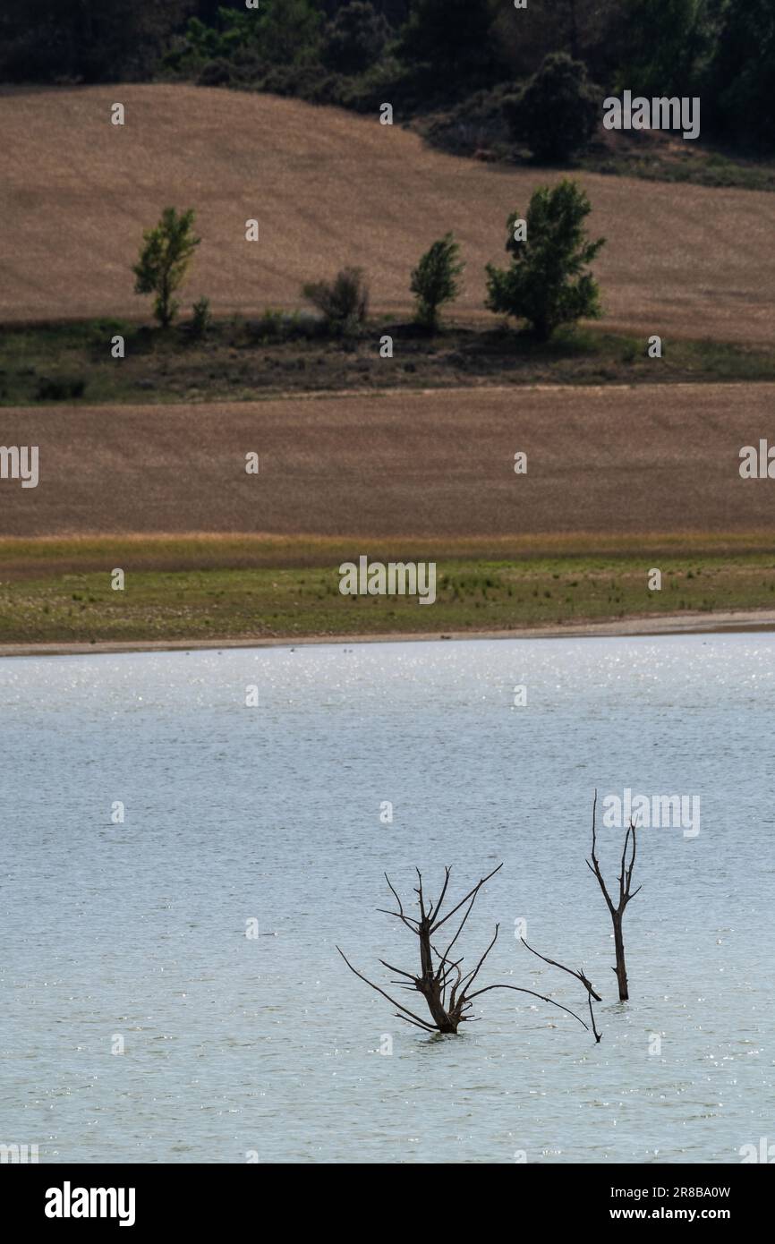 Alberi morti emergono da un serbatoio di Buendia colpito dalla siccità con livelli di acqua che raggiungono solo il 22% della capacità del serbatoio. La primavera del 2023 ha brok Foto Stock