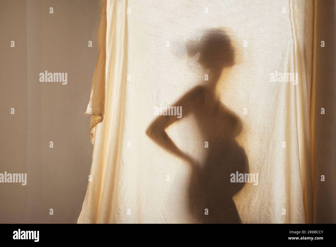 Shadow silhouette di una donna incinta dietro un tessuto testurizzato. Una donna che si aspetta un bambino si alza lateralmente e tiene le mani sulla vita. Maternità Foto Stock