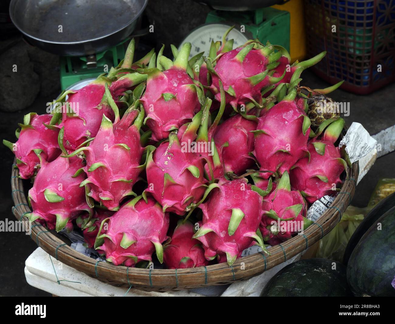 Vietnam, Provincia di Quang Nam, Città di Hoi An, Città Vecchia, Patrimonio dell'Umanità dall'UNESCO, il mercato, Stall con Pitaya blanca o pita bianco-carnosa Foto Stock