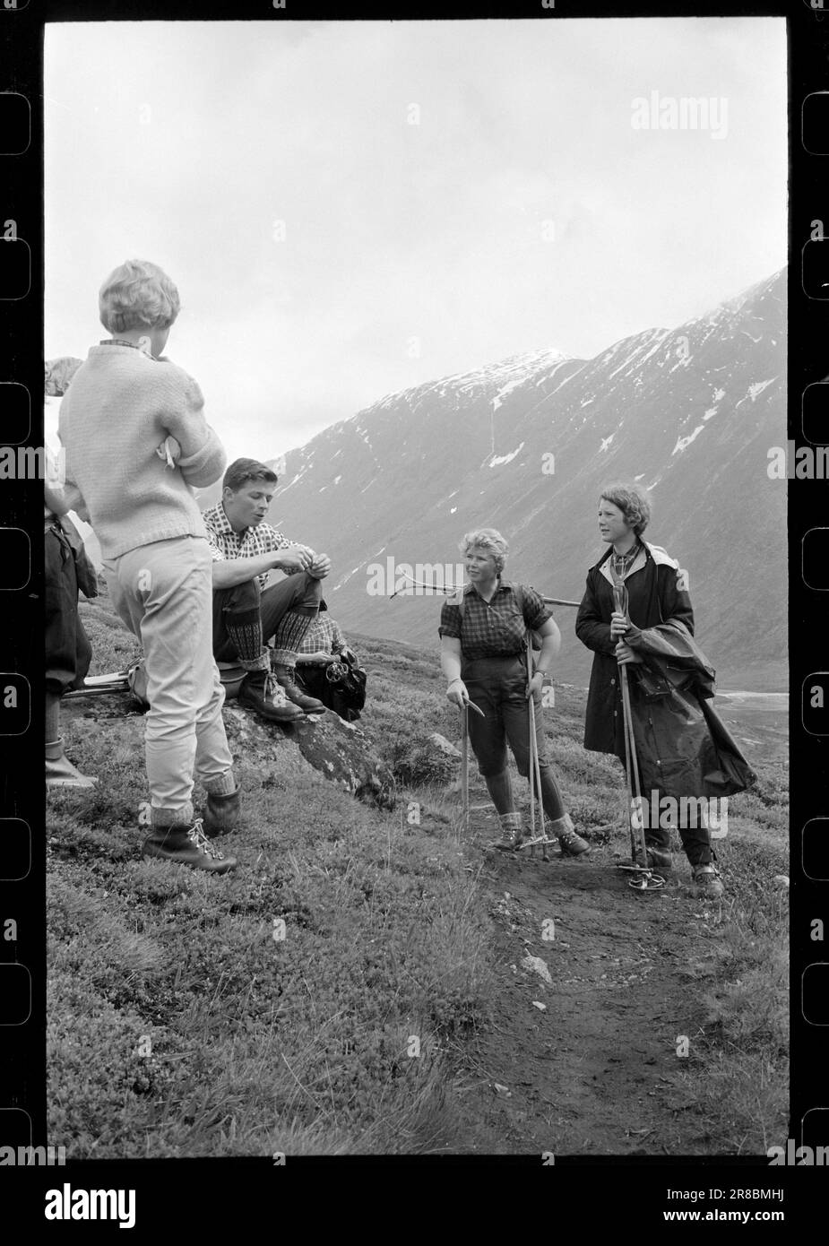 Corrente 31-4-1960: Sci largo attraverso il ghiacciaio in su sotto la lingua del Svellnosbreen male fessurato, ci è una scuderia con gli sci di meno di un metro di lunghezza. Ma se sono corti, sono in cambio largo come le racchette da neve. Non ha senso andare per loro se si riesce a farlo. Foto: Ivar Aaserud / Aktuell / NTB ***FOTO NON ELABORATA*** Foto Stock