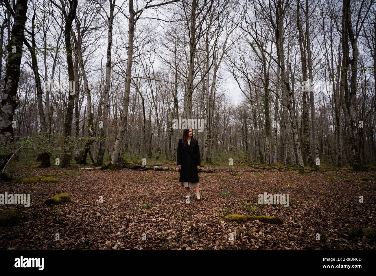 Una donna solitaria in piedi in una foresta di faggi in autunno vestita con un cappotto nero in un'atmosfera mistica. Concetto di natura Foto Stock