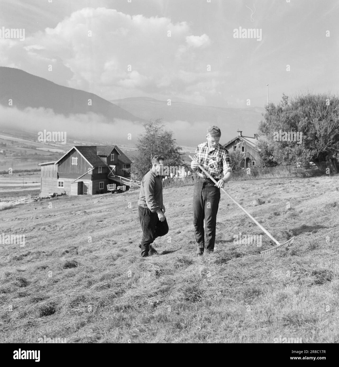 Corrente 39-4-1960: Studente contadino a Tigerstaden studente Lars Ramstad è trapiantato dal villaggio di montagna di Skjåk ai blocchi di cemento a Oslo. "Duro", dice, "ma funzionerà." Lars lascerà la deliziosa Skjåk per cinque o sei anni, ma prima la casa deve essere battuta. Foto: Ivar Aaserud / Aktuell / NTB ***FOTO NON ELABORATA*** Foto Stock