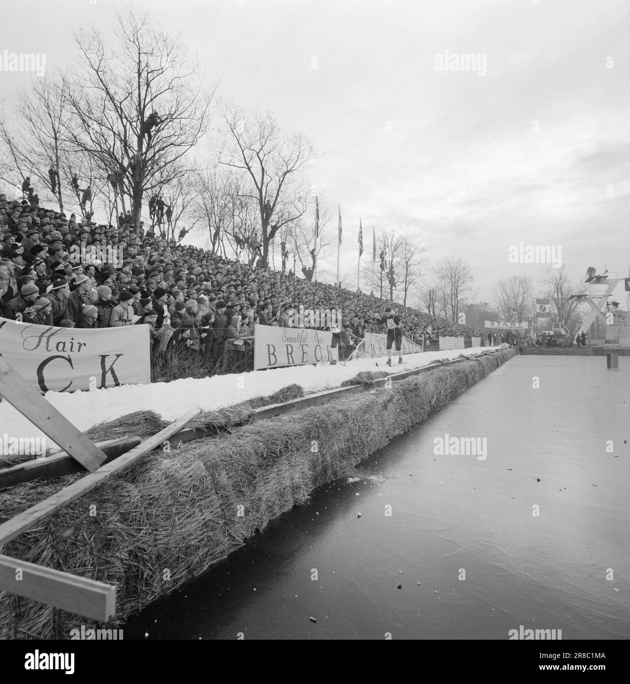 Attuale 3-5-1960: Lungo sentiero fino alla cima da quando era un ragazzino, Einar Østby (n. 33) si è posto come obiettivo le Olimpiadi. Conosce il prezzo dei posti vicino a Sixten Jernberg (n° 28). Nella gara di Monolith, Østby si è assicurato un posto nella squadra olimpica. La concorrenza era nitida. Einar Østby (n° 33) ha dato tutto ciò che aveva e si è assicurato un posto nella squadra olimpica. È stato allietato dagli stand imballati. La gara è costata agli organizzatori decine di migliaia di corone. Per diversi giorni, i camion hanno guidato tonnellate di neve per coprire la striscia di 3,8 chilometri di prati verdi nel parco. Foto: Ivar Aase Foto Stock